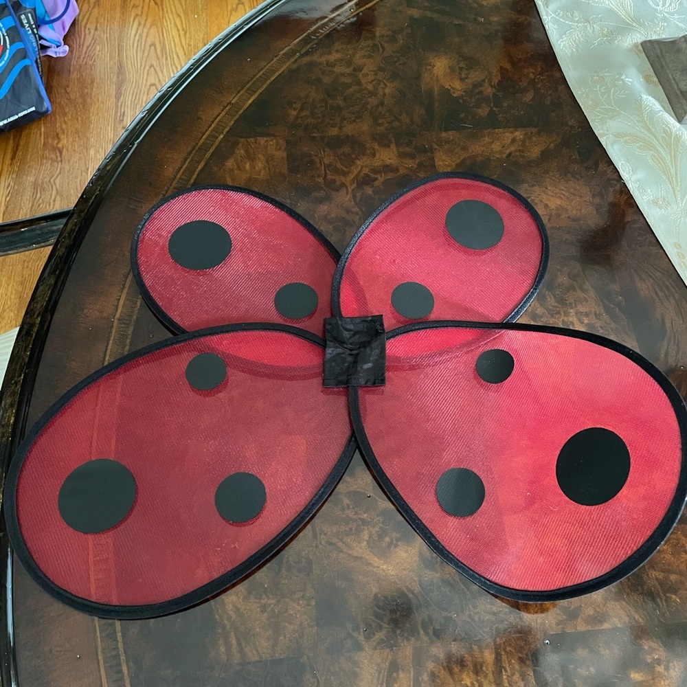 Lady bug costume. Size 2t - Picture 4 of 6